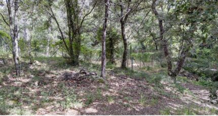 Lorgues Terrain à bâtir - 2090298-3951annonce220250226fEiNv.jpeg Maisons France Confort
