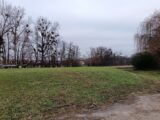 Maison à construire à Wentzwiller (68220) 2091019-6989annonce120250226zhKC7.jpeg Maisons France Confort
