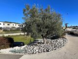 Maison à construire à Grabels (34790) 2091146-3243annonce120250226FB7Ds.jpeg Maisons France Confort