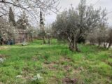 Maison à construire à Flayosc (83780) 2091174-11157annonce220250226oZnzz.jpeg Maisons France Confort