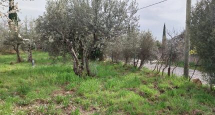 Flayosc Maison neuve - 2091174-11157annonce420250226GadIx.jpeg Maisons France Confort
