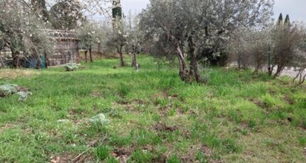 Flayosc Maison neuve - 2091174-11157annonce520250226zTLJ9.jpeg Maisons France Confort