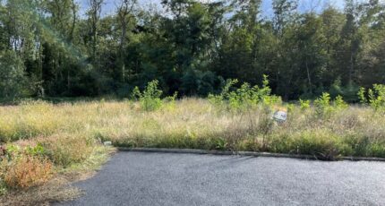 Issenheim Terrain à bâtir - 2094391-11028annonce420250302sRHlF.jpeg Maisons France Confort