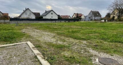 Balgau Maison neuve - 2094387-11028annonce120250302T6blT.jpeg Maisons France Confort