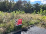 Maison à construire à Issenheim (68500) 2094402-11028annonce120250302ywWDy.jpeg Maisons France Confort