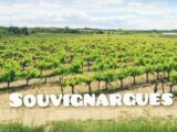 Terrain à bâtir à Souvignargues (30250) 2093220-3243annonce220241006XFeJ6.jpeg Maisons France Confort