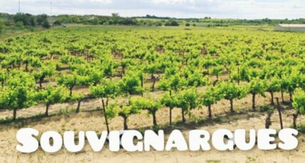 Souvignargues Maison neuve - 2093221-3243annonce220241006XFeJ6.jpeg Maisons France Confort