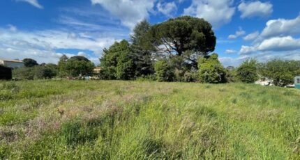 Laurac-en-Vivarais Maison neuve - 2066874-11001annonce220250131nWaD7.jpeg Maisons France Confort