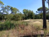 Terrain à bâtir à Cournonsec (34660) 2096169-3243annonce220250120r2fLu.jpeg Maisons France Confort