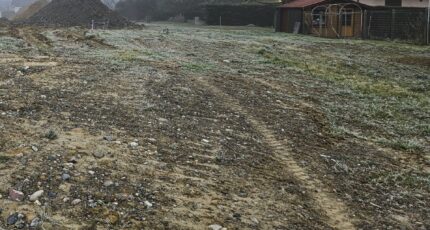Carspach Terrain à bâtir - 2095785-6989annonce120250304gGmT6.jpeg Maisons France Confort