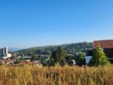 Terrain à bâtir à Altkirch (68130) 2095736-6989annonce1202503049A4Fc.jpeg Maisons France Confort