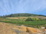 Terrain à bâtir à Guebwiller (68500) 2095816-6989annonce120250304AaqS6.jpeg Maisons France Confort