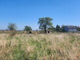Terrain à bâtir à Ruederbach (68560) 2095750-6989annonce120250304XraTL.jpeg Maisons France Confort