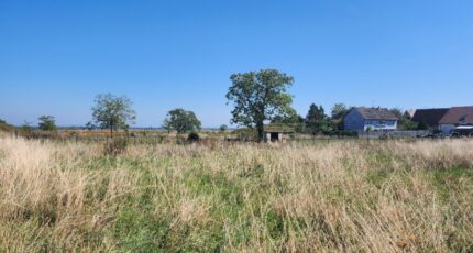 Ruederbach Terrain à bâtir - 2095750-6989annonce120250304XraTL.jpeg Maisons France Confort