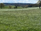Terrain à bâtir à Marcolès (15220) 2068377-3828annonce120250203B4y0K.jpeg Maisons France Confort
