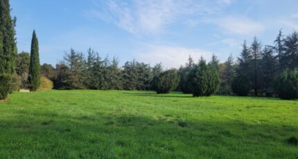 Allan Maison neuve - 2097758-812annonce220241106EFf9t.jpeg Maisons France Confort