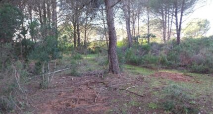 Puget-sur-Argens Maison neuve - 2098496-11157annonce120250305TTpzU.jpeg Maisons France Confort