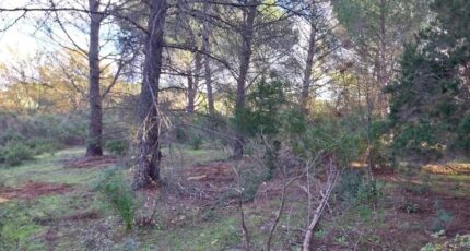 Puget-sur-Argens Maison neuve - 2098496-11157annonce220250305kuqn4.jpeg Maisons France Confort