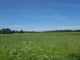 Maison à construire à Normanville (76640) 2098219-1887annonce120250306ar3SE.jpeg Maisons France Confort
