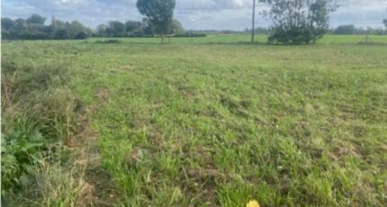 Touffreville-la-Corbeline Maison neuve - 2098316-1887annonce120250306IAqkT.jpeg Maisons France Confort