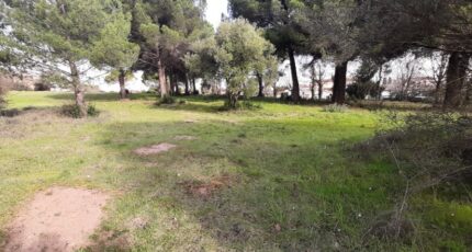 Le Muy Maison neuve - 2099808-10295annonce220250307KFTSi.jpeg Maisons France Confort