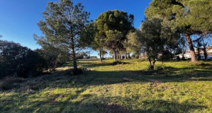 Le Muy Maison neuve - 2099808-10295annonce320250307TwTkn.jpeg Maisons France Confort