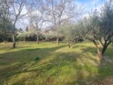 Terrain à bâtir à Salernes (83690) 2099966-10122annonce220250308N3f8k.jpeg Maisons France Confort