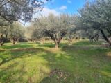 Terrain à bâtir à Salernes (83690) 2099966-10122annonce320250308Q3ghW.jpeg Maisons France Confort
