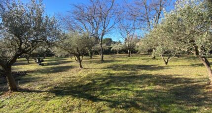 Salernes Maison neuve - 2099973-10122annonce120250308P6hpI.jpeg Maisons France Confort