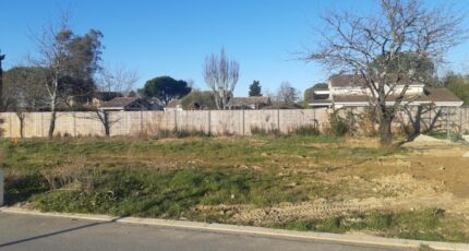 Castelmaurou Maison neuve - 2074064-5202annonce220250207XBKl0.jpeg Maisons France Confort