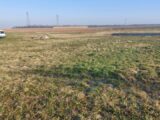 Terrain à bâtir à Heiteren (68600) 2101253-5767annonce120250310GftmI.jpeg Maisons France Confort