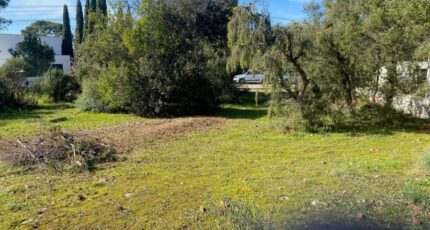 Le Cannet-des-Maures Maison neuve - 2101816-10122annonce120250310b5KAz.jpeg Maisons France Confort