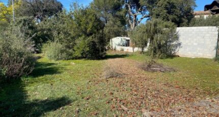 Le Cannet-des-Maures Maison neuve - 2101810-10122annonce220250310DfOyT.jpeg Maisons France Confort