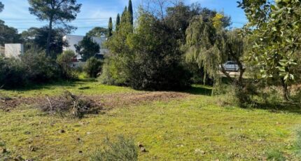 Le Cannet-des-Maures Maison neuve - 2101810-10122annonce320250310Fw4lT.jpeg Maisons France Confort