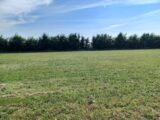 Terrain à bâtir à Neufchâtel-en-Saosnois (72600) 2057126-3704annonce120250120kIc89.jpeg Maisons France Confort