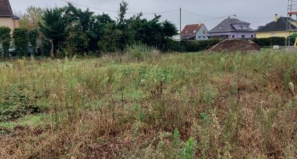Dessenheim Terrain à bâtir - 2102070-5767annonce120250311ZQD5x.jpeg Maisons France Confort