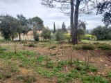 Terrain à bâtir à Montfort-sur-Argens (83570) 2103054-11137annonce1202503111Kf2w.jpeg Maisons France Confort