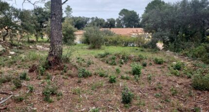 Montfort-sur-Argens Terrain à bâtir - 2103054-11137annonce2202503112lvmy.jpeg Maisons France Confort