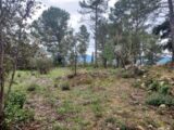 Terrain à bâtir à Montfort-sur-Argens (83570) 2103054-11137annonce3202503116egNK.jpeg Maisons France Confort