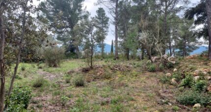 Montfort-sur-Argens Maison neuve - 2103058-11137annonce3202503116egNK.jpeg Maisons France Confort