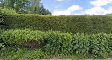 Tingry Maison neuve - 2103349-11072annonce120250128WNIVc.jpeg Maisons France Confort