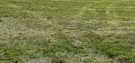 Terrain à bâtir à Écoyeux, Nouvelle-Aquitaine