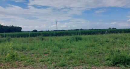Marckolsheim Maison neuve - 2073070-5767annonce120250207aZhEW.jpeg Maisons France Confort
