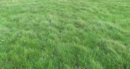 Villabé Terrain à bâtir - 2073046-10729annonce120250206FClO4.jpeg Maisons France Confort