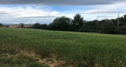 Espondeilhan Maison neuve - 2044626-11018annonce320250109clQL0.jpeg Maisons France Confort