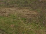 Terrain à bâtir à Maroeuil (62161) 2073974-6159annonce320250207ttcyL.jpeg Maisons France Confort