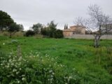 Maison à construire à Pérols (34470) 2105886-11040annonce120250314J1J14.jpeg Maisons France Confort
