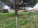 Maison à construire à Pérols (34470) 2105866-11040annonce120250314MNxBy.jpeg Maisons France Confort