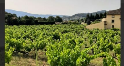 Vaison-la-Romaine Maison neuve - 2106774-617annonce220231023tRXNn.jpeg Maisons France Confort