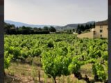 Terrain à bâtir à Vaison-la-Romaine (84110) 2106771-617annonce220231023tRXNn.jpeg Maisons France Confort